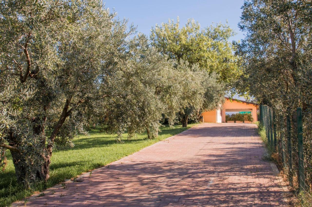 Villa Con Piscina Casale Di Gio Nel Golfo Di Castellammare Partinico Eksteriør billede