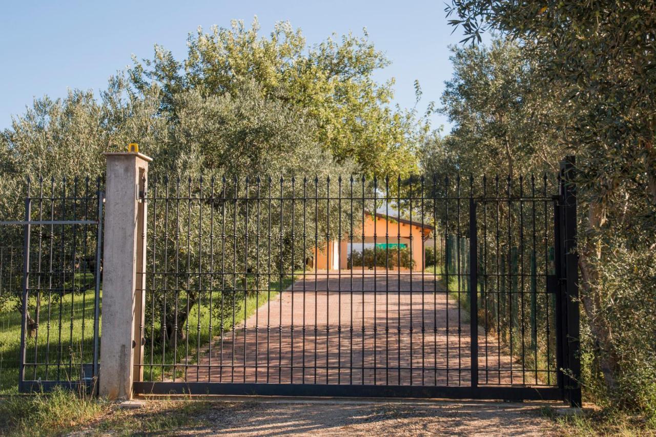 Villa Con Piscina Casale Di Gio Nel Golfo Di Castellammare Partinico Eksteriør billede